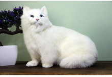 Brinquedo da vida real adorável branco persa gato polietileno & furs gato modelo cerca de 24x15x22cm decoração para casa adereços, brinquedo presente d0188 2024 - compre barato