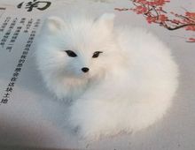 cute simulation fox toy resin&fur fox small white fox doll gift about 13x9x12cm 1310 2024 - buy cheap