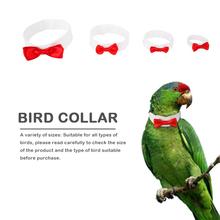 Animais de estimação pássaro roupas papagaio bonito laço colar gravata para pequeno médio grandes aves reutilizáveis gato pássaro papagaio colar roupas decoração 2024 - compre barato
