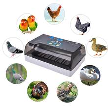 Digital Egg Incubator Automatic Intelligent Egg Incubators Hatcher Large 12 Eggs Incubators For Chicken Duck Poultry Quail Eggs 2024 - buy cheap