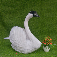 Plumas de cisne blanco modelo grande 40x30cm simulación swan stage prop, decoración del jardín del hogar regalo s1918 2024 - compra barato
