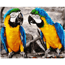 Pintura digital king kong macaw, pintura por números, arte para parede, em tela, presente para crianças, decoração para casa, 40x50cm 2024 - compre barato