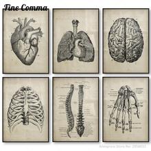 Human Anatomy Medical Anatomy Science Vintage Posters Art Canvas Print Medical Doctor Clinic Wall Decor Pictures Canvas Painting 2024 - compre barato
