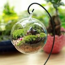 Креативная прозрачная стеклянная ваза-шар Микро пейзаж подвесной Террариум для растений суккулентный подвесной горшок контейнер 2024 - купить недорого