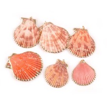 5pcs Gold Plated nautical SeaShells Natural sector shells for Home decoration DIY earring pendant charms Accessories TR0298 2024 - buy cheap