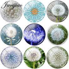 JWEIJIAO DIY Glass Cabochon & Glass Dome With Dandelion Art Picture Charms For Keychain Necklace Earring Brooch Accesories 2024 - buy cheap