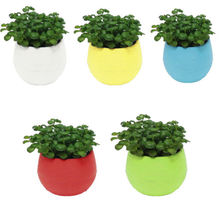 Colourful Mini Round Plastic Plant Flower Pot Garden Decor Planter 5 Colors Solid Plastic Flower Pot 2024 - buy cheap