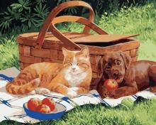 Gato y perro en un picnic imágenes por números en lienzo DIY elegante pintura al óleo Digital para colorear por números en casa arte decoración regalo 2024 - compra barato