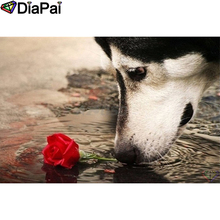 DIAPAI-pintura de diamantes 5D, cuadro completo cuadrado/redondo, "Flor de perro Animal", bordado de diamantes de imitación artesanal, decoración del hogar, A25689 2024 - compra barato