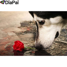 Diapai 5d pintura completa com diamantes quadrado/redondo "flor de cão animal" imagem de strass faça você mesmo bordado decoração de casa a25689 2024 - compre barato