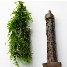 Planta de agua Artificial de plástico para decoración de Acuario, árbol de pino, musgo, pecera, Año Nuevo 2024 - compra barato