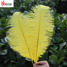 yellow feather  50pcs ostrich feathers 16-18inches/40-45cm ostrich plumage plume wedding performing art decoration free shipping 2024 - buy cheap