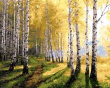 Frameless diy picture oil painting by numbers wall decor painting on canvas for home decor 4050 White birch forest 2024 - buy cheap