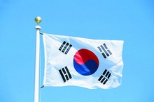South Korea Banner Free shipping 90*150cm Hanging National flag South Korea Home Decorationbanner 2024 - buy cheap