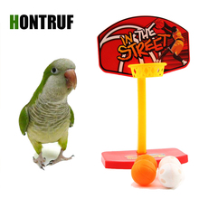 Parrot puzzle training intellectual development toy parrot shooting toy bite ball mini basketball basket desktop toy 2024 - buy cheap