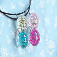 5 Color Glass Ball Real Dried Flower Glass Pendant Necklace Leather Chain Factory Direct Wholesale Jewelry Gift 2024 - buy cheap