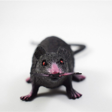 Смешная хитрая Новинка Шутка мышь игрушка ложная поддельная пластиковая мышь розыгрыш страшная крыса трюк животное для детей игра 2024 - купить недорого