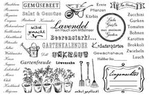 German text beerenstark  Clear Stamps  Scrapbook Paper Craft Clear stamp scrapbooking X0294 2024 - buy cheap