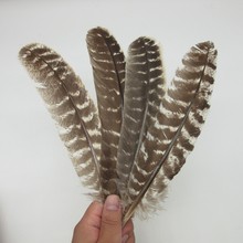 Wholesale Real Natural Eagle feathers 16-18 Inch(20-40CM)Top Quality Eagle bird feather For Wedding decoration diy jewelry Plume 2024 - buy cheap