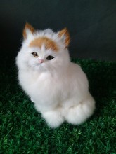 simulation cat about 24x17cm white cat fur model ornament home decoration gift h1392 2024 - buy cheap