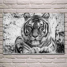 bw handsome tiger wild cat portrait animal artwork fabric posters on the wall picture home living room decoration bedroom KH717 2024 - buy cheap