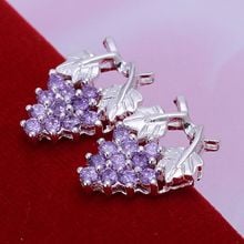 wholesale silver plated earrings,925 fashion Silver jewelry rhinestone grape stud Earrings for women SE040 2024 - buy cheap