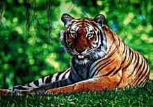 Бесплатная доставка, Лидер продаж, гобелен среднего размера, рисунок из ткани с изображением тигра, настенные Висячие тканевые фотографии 2024 - купить недорого