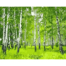 Pintura por números diy, tela de paisagem, decoração de casamento, pintura por números, 50x65 60x75cm, verão, madeira verde, pintura, presente 2024 - compre barato