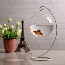 Mini Fish Tank Decoration Micro Landscape Hydroponic Ecological Bottle DIY Decoration Glass Aquarium Fish Bowl Accessories 2024 - buy cheap