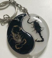 Free Shipping yqtdmy magic Insect Keychain Gold Black Scorpion Specimens Collecting JEWELRY TAXIDERMY 2024 - buy cheap