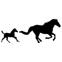 Интересная декоративная наклейка «Мама и ребенок» с изображением лошади, 17,8*7,2 см, виниловые автомобильные наклейки, аксессуары, черный/серебристый цвет 2024 - купить недорого