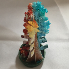 Árbol de papel mágico Multicolor para cultivo, crecimiento mágico, árboles de Navidad, Juguetes Divertidos de Japón, regalo de ciencia, 10 Uds., 10cm H, 2019 2024 - compra barato