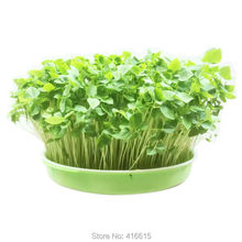 Plastic Hydroponics Nursery Pots Garden Tools Seeds Sprout Vegetable Planter Double Layers Nursery Seedling Plate 2024 - buy cheap