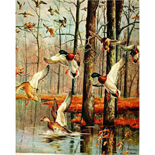 5D Diamond Painting wild duck Full square Drill Pasted Cross-Stitch Home Decorative Mosaic Pictures Diamond embroidery landscape 2024 - buy cheap