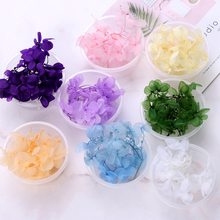 1Box Dry Flower DIY Epoxy Resin Handmade Crafts Filling Materials Filler Dried Flowers Time Stone Jewelry Making Desk Decor 2024 - buy cheap