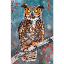 DIY Diamond Embroidery Big Owl Full Square/round Diamond Painting Cross Stitch Kit  Mosaic Home Decor 2024 - buy cheap