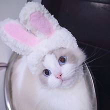 Милый кролик ухо кошка худи для маленьких собак Мягкий трикотажный свитер для щенка котенка бульдога тонкий свитер кролик бижутерия для ушей худи с котом одежда для домашних животных N4 2024 - купить недорого