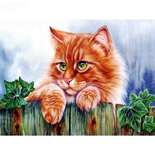 Full square/Round drill Diamond embroidery Cute orange cat 5D DIY diamond Painting Cross Stitch Rhinestone Mosaic decor HY 2024 - buy cheap