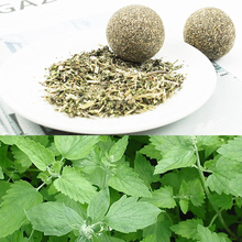 Pet Cat Natural Catnip Treat Ball Favor Home Chasing Toys Healthy Safe Edible Treating 2024 - buy cheap