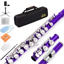 Eastar Close Hole 16 Keys Flute C Key Cupronickel Nickel Plated Woodwind Instrument + Flute Stand Padded Bag Cleaning Cloth New 2024 - buy cheap