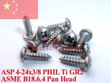 Titanium screws 4-24x 3/8 Pan Head PHIL Driver Self Tapping Ti GR2 Polished 50 pcs 2024 - купить недорого