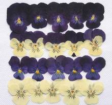 100pcs Pressed Dried Pansy Flower Filler For Epoxy Resin Pendant Necklace Jewelry Making Craft DIY Accessories 2024 - buy cheap