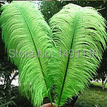 Wholesale 50 pcs / lot Beautiful Green ostrich feather 16-18inches / 40-45cm DIY jewelry decoration / wedding celebration 2024 - buy cheap