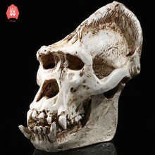 Resin Gorilla Skeleton Head Figurines Sculpture Chimpanzee Skull Home Decoration Craft Statues Collection Halloween Gift 2024 - buy cheap