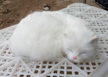 Милый спящий Белый Кот 27x21 см модель из полиэтилена и пуха модель кошки реквизит для украшения дома модель подарок d391 2024 - купить недорого