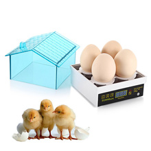 4 Egg Incubator Automatic Temperature Control Small Brooder Hatchery Egg Incubator Hatcher for Chicken Duck Bird Pigeon Quail 2024 - buy cheap