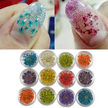12 Цветов 3D украшения ногтей Настоящее Сухой сухих цветов для UV гель акриловых ногтей советы F719 2024 - купить недорого