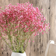 Denisfen gypsophila flores secas naturais buquê colorido decotive flor respiração do bebê para o casamento decoração de casa diy artesanato 2024 - compre barato