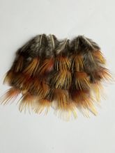 New! Batch quality 100 pc quality Golden pheasant feathers, 2-3inches / 5-8cm, DIY decorative handicrafts 2024 - buy cheap