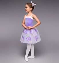 2018 New Tutus Sequined Skirt Girls Ballet Dance Dress Female Clothes and New Costumes Classical Ballet Tutu Leotard B-2419 2024 - buy cheap